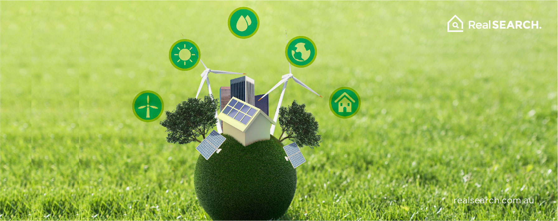 7 Eco-Friendly Home Upgrades That Save Money and the Planet